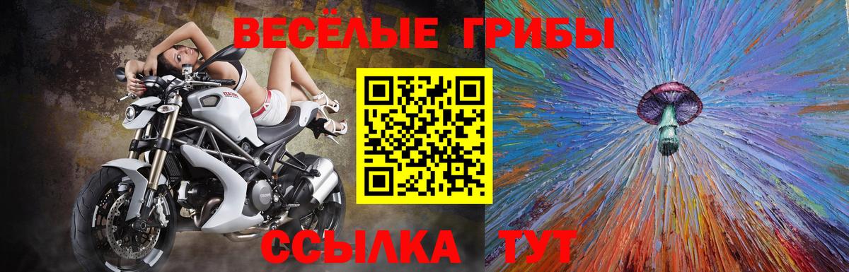 Галлюциногенные грибы ЛСД Шелехов