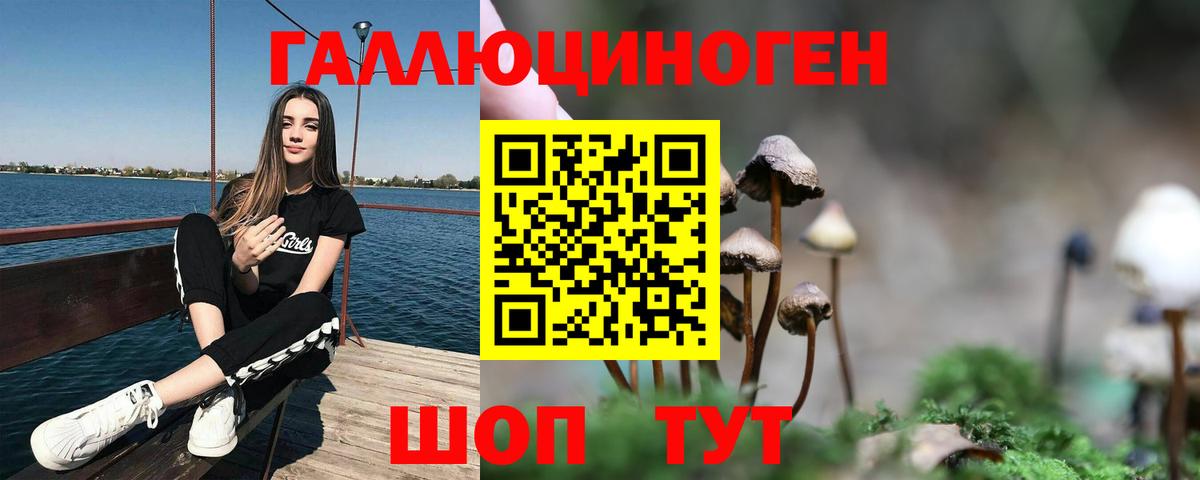 Шелехов  Галлюциногенные грибы Psilocybine cubensis  Вход с VPN 